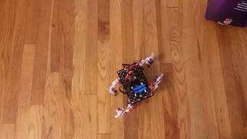 Quadruped Robot using SnappyXO