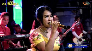 Download Lagu WONG KETELU - AIDHA GONZALES \ MP3