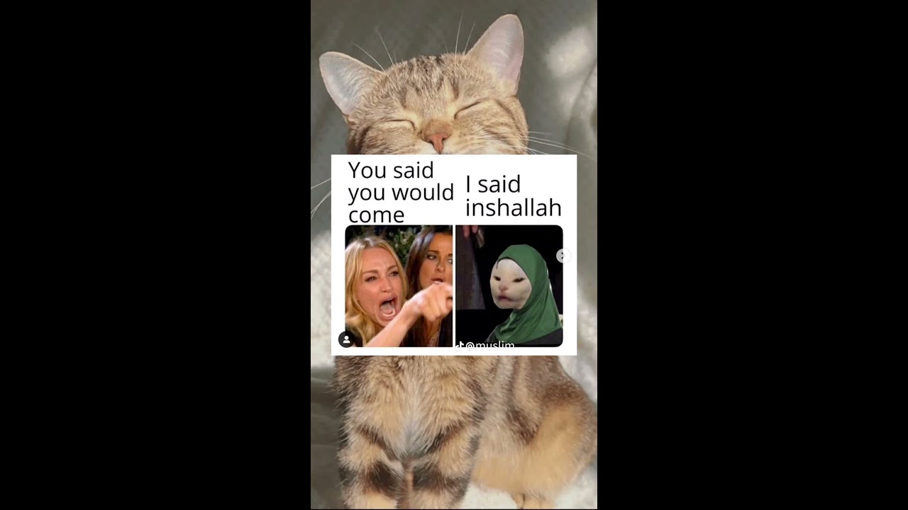 Muslim Memes Halal Jokes