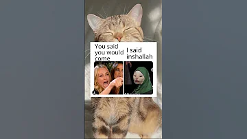 Muslim Memes Halal Jokes 