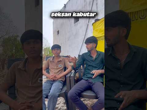 Seksan kabutar  | kabutar ki video | pigeon ki video | funny video ￼| #pigeon #funny