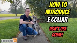 E Collar Training For Beginners: Acclimation to Stim by Suburban K9 Dog Training 14,382 views 2 months ago 12 minutes, 42 seconds