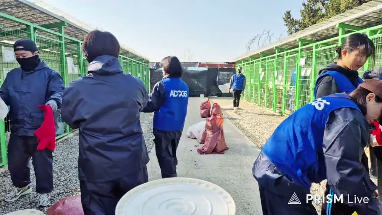 보호소에서 봉사중