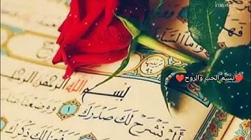 حالات واتس اب دينيه 🌸 سورة الشرح ألم نشرح لك صدرك🤲 مقطع قصير🍃 يريح قلبك 🤍