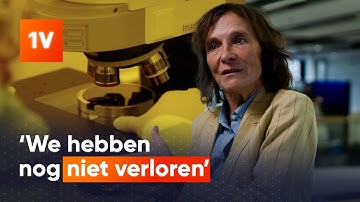 Hoe de TU Eindhoven de strijd om chips aangaat met de VS en China