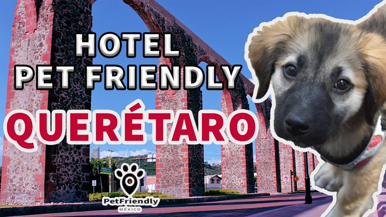 Hotel Pet Friendly en Querétaro Hotel Misión Hacienda de San Gil YouTube