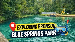 Bronson Blue Springs Park