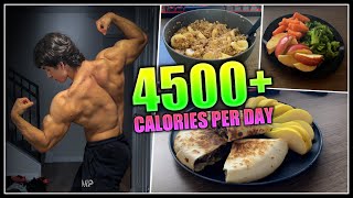 FULL DAY OF EATING on a LEAN BULK | College Edition