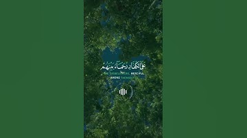 📖سورة الفتح 🎙️ياسر الدوسري