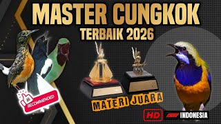 ISTIMEWA‼️MASTERAN CUCAK CUNGKOK FULL TEMBAKAN MEWAH