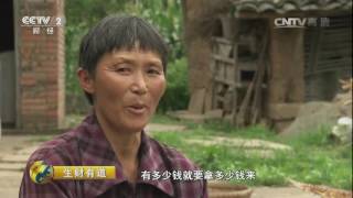 20161001 生财有道  四川恩阳：芦笋——致富乡亲的“金钥匙”