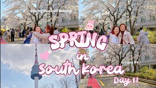 Seoul Vlog Day 1 | Arrival, Namsan Gil House, Cherry Blossoms, Mangwon Market & Daiso 🇰🇷
