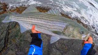 Shore Fishing Rhode Island For BIG Striped Bass! (Foul Weather Surfcasting)