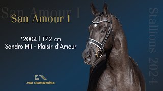 San Amour | warmblood stallion | International Horse Breeders
