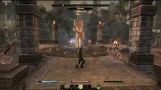 The Elder Scrolls Online QuakeCon 2014 PVP Tournament - Day 2