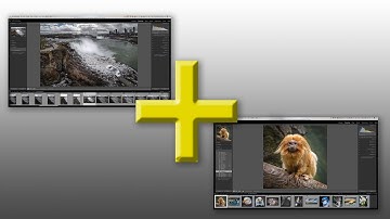 How to Combine MULTIPLE Lightroom Catalogs