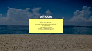 DAM PimCore 4