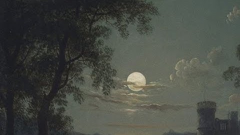 45 Seconds Countdown | Moonlight Night 🌙✨ (No Sound, Aesthetic Background)