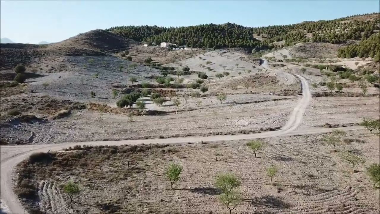 SPAIN: Almeria: Limaria: Albox