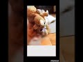 "Agar Hasa Diya To Video Like Karna Mat Bhoolna! 😂" #viralvideo #funny #funnyvideos #funnyshorts