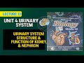 📚 Class 10 Biology | Unit 4: Urinary System | Lecture by Dr. Madiha | Nation Book Foundation