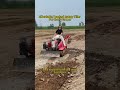 Affordable Tracked Rotary Tiller For Every Farmer #tractor #minitractor #agricultura #machine