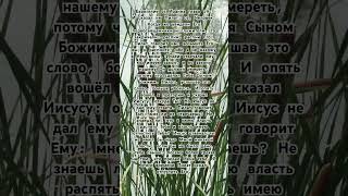 Евангелие от Иоанна глава 19_2 :#библия #евангелие #евангелиеотиоанна #новыйзавет #священноеписание