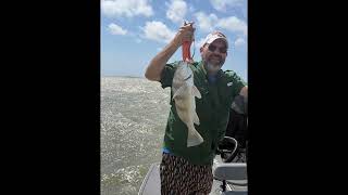 Texas Fishing Tips Fishing Report 5/21/26 Baffin Bay & Laguna Madre Area With Capt. Kevin Navid