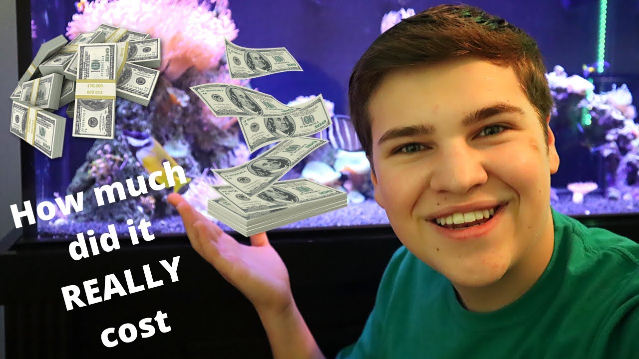 How Much did my Reef Tank Cost?!? (Cost to set up a Saltwater aquarium