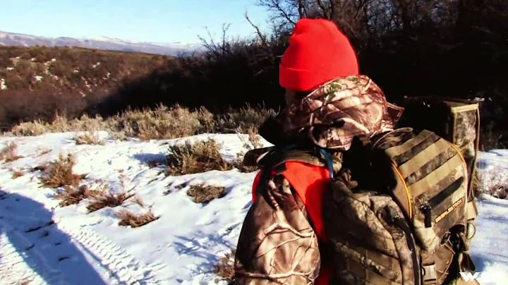 Extreme Outer Limits TV - Bair Ranch Colorado Mule Deer