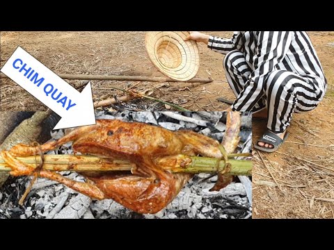 ngói nướng mua ở đâu New Update CHIM CU NGÓI NƯỚNG SA TẾ NGON NHỐT CẢ LƯỠI
