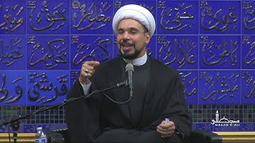 9. The Ziyarah of Abbas (a): Merits & Lessons - Sheikh Mohammed Al-Hilli - Masjid-e-Ali