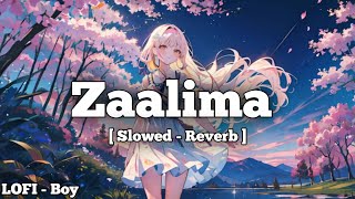 Zaalima Lofi | Slowed - Reverb | LOFI - Boy