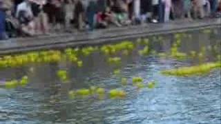 Duck derby