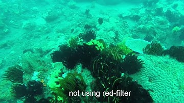 Testing Red-Filter for GoPro