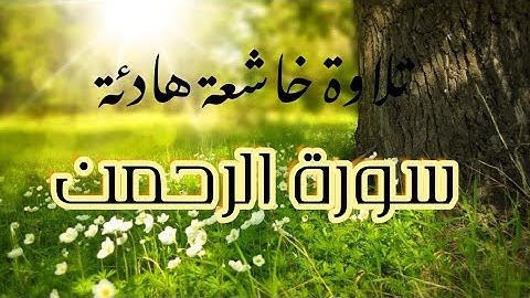 سورة الرحمن || Sourat Al-Rahman || احمد سعيد العمراني