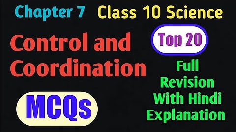 Control and Coordination MCQ With Hindi Explanation Class 10 Biology Chapter 7 || Top 20 MCQs