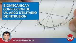 Biomecánica y confección de un arco utilitario de intrusión