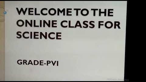 PVI SCIENCE LESSON # 33 (CHP#3 NEEDS OF LIVING THINGS ACTIVITY-6) Dated:23/6/2020