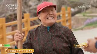《我的美丽乡村》 20230518 桃花盛开正当时|农业致富经 Agriculture And Farming