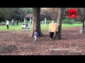 段ボールでメタルギア Corrgated peperman -HARAKIRIBANZAI-