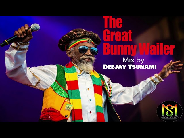 Bunny Wailer Mix 2019 By Deejay Tsunami class=