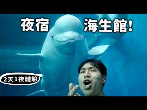 ✨【會員專屬】夜宿屏東海生館2天1夜完整體驗!【許伯簡芝】
