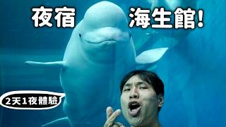 ✨【會員專屬】夜宿屏東海生館2天1夜完整體驗!【許伯簡芝】