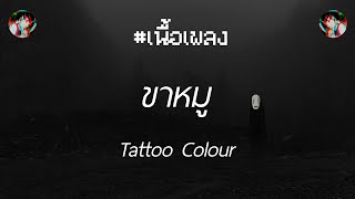 🎵[เนื้อเพลง] ขาหมู - TattooColour🎵
