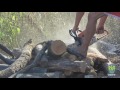 Остановка незаконного производства древесного угля в Одесской области