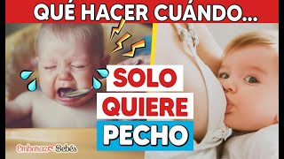 Mi hijo SOLO QUIERE PECHO y No quiere comer 😓🤱🏻 ¿Qué hago?