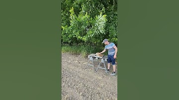 Setting Up A Swarm Trap Along A Corn Field