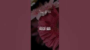 #قرآن ما شاء الله تبارك الرحمن تلاوة جميلة ❤️