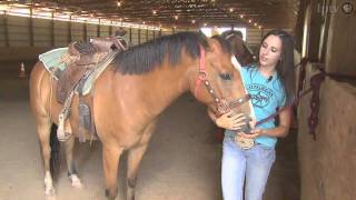 Preparing to Compete as a Cowgirl Queen - Iowa State Fair 2010 image